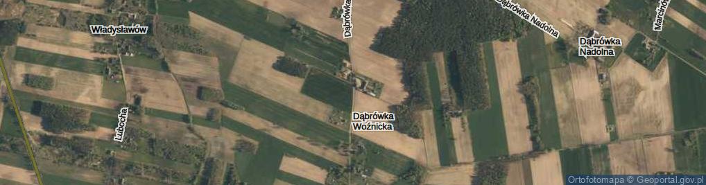 Zdjęcie satelitarne Dąbrówka Woźnicka ul.